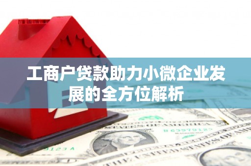 海原工商户贷款助力小微企业发展的全方位解析