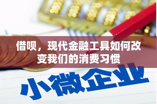 海原借呗，现代金融工具如何改变我们的消费习惯