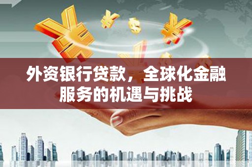 海原外资银行贷款，全球化金融服务的机遇与挑战