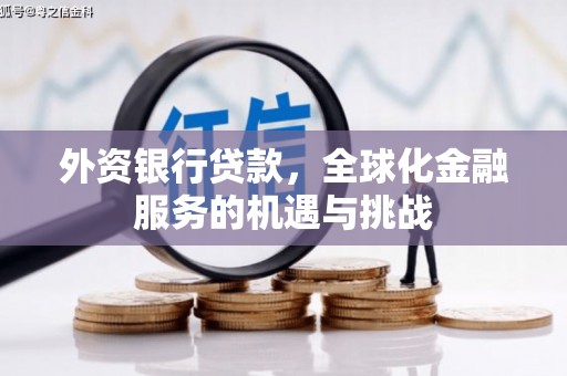 海原外资银行贷款，全球化金融服务的机遇与挑战