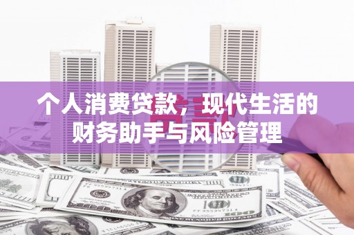 海原个人消费贷款，现代生活的财务助手与风险管理