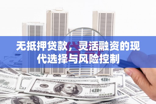 海原无抵押贷款，灵活融资的现代选择与风险控制