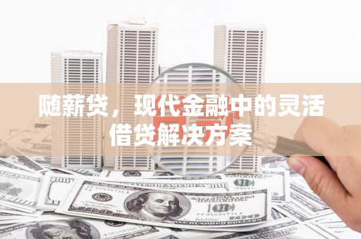 海原随薪贷，现代金融中的灵活借贷解决方案