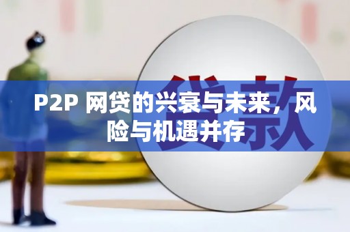 海原P2P 网贷的兴衰与未来，风险与机遇并存
