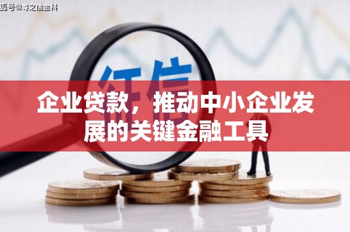 海原企业贷款，推动中小企业发展的关键金融工具