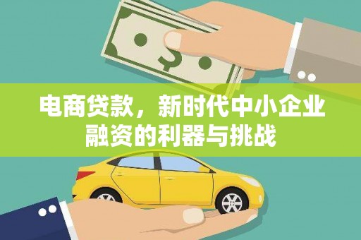 海原电商贷款，新时代中小企业融资的利器与挑战