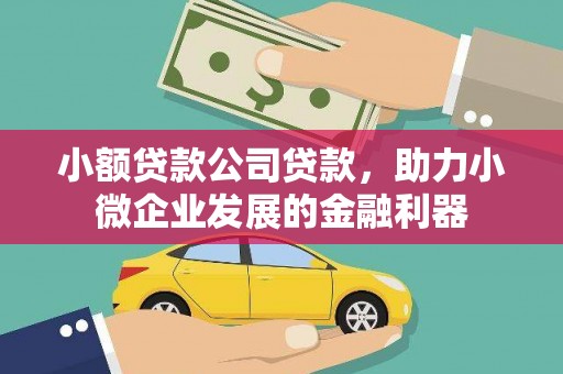 海原小额贷款公司贷款，助力小微企业发展的金融利器