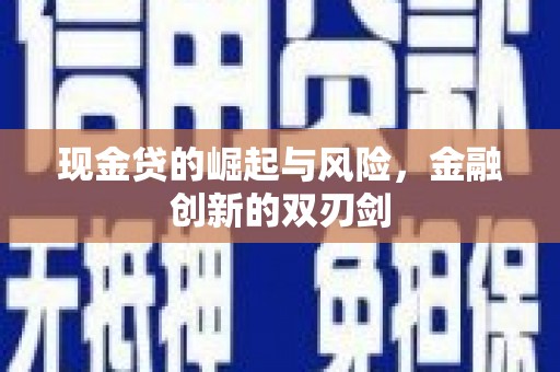 海原现金贷的崛起与风险，金融创新的双刃剑