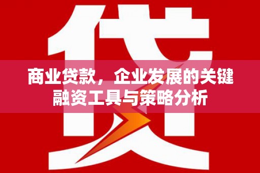 海原商业贷款，企业发展的关键融资工具与策略分析