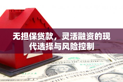 海原无担保贷款，灵活融资的现代选择与风险控制