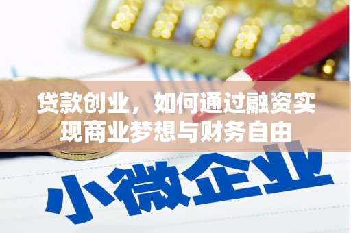 海原贷款创业，如何通过融资实现商业梦想与财务自由