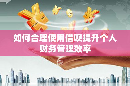 海原如何合理使用借呗提升个人财务管理效率