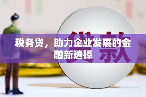 海原税务贷，助力企业发展的金融新选择