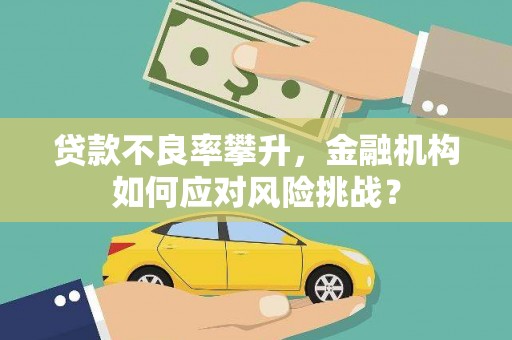 海原贷款不良率攀升，金融机构如何应对风险挑战？