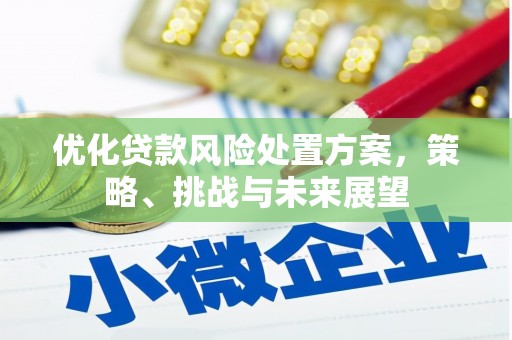 海原优化贷款风险处置方案，策略、挑战与未来展望