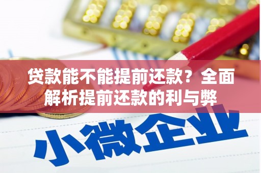 海原贷款能不能提前还款？全面解析提前还款的利与弊