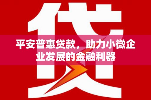 海原平安普惠贷款，助力小微企业发展的金融利器