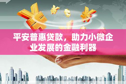 海原平安普惠贷款，助力小微企业发展的金融利器