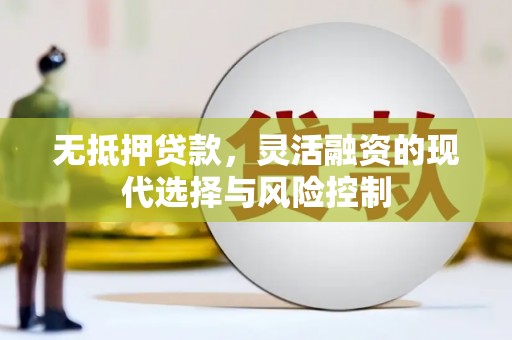 海原无抵押贷款，灵活融资的现代选择与风险控制