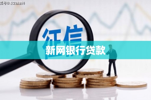 海原新网银行贷款