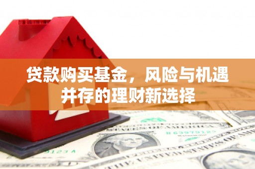 海原贷款购买基金，风险与机遇并存的理财新选择