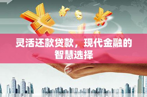 海原灵活还款贷款，现代金融的智慧选择