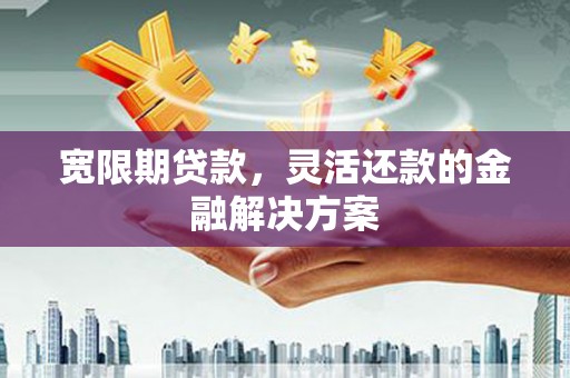 海原宽限期贷款，灵活还款的金融解决方案