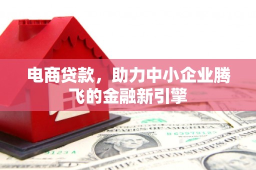 海原电商贷款，助力中小企业腾飞的金融新引擎