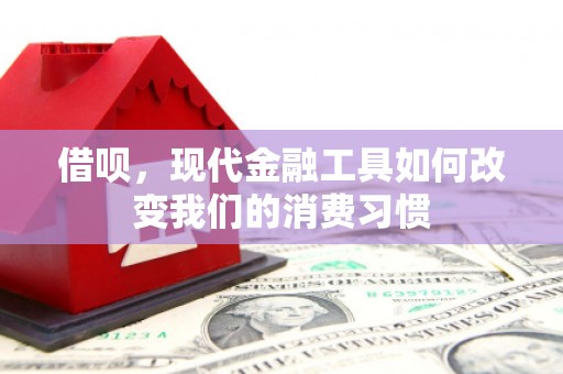 海原借呗，现代金融工具如何改变我们的消费习惯
