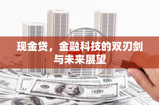 海原现金贷，金融科技的双刃剑与未来展望