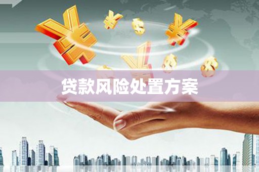 海原贷款风险处置方案