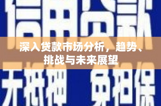 海原深入贷款市场分析，趋势、挑战与未来展望