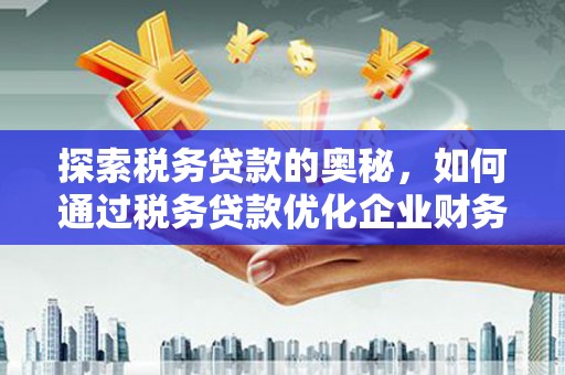 海原探索税务贷款的奥秘，如何通过税务贷款优化企业财务