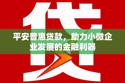 海原平安普惠贷款，助力小微企业发展的金融利器