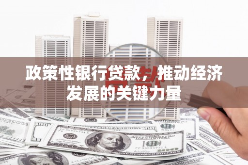 海原政策性银行贷款，推动经济发展的关键力量