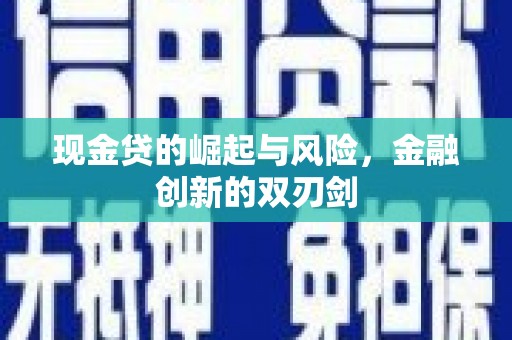 海原现金贷的崛起与风险，金融创新的双刃剑