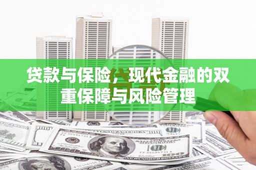 海原贷款与保险，现代金融的双重保障与风险管理