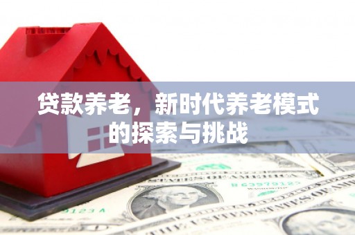 海原贷款养老，新时代养老模式的探索与挑战