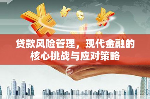 海原贷款风险管理，现代金融的核心挑战与应对策略