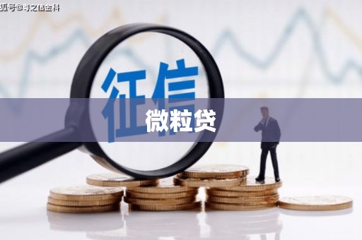 海原微粒贷