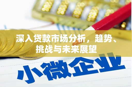 海原深入贷款市场分析，趋势、挑战与未来展望