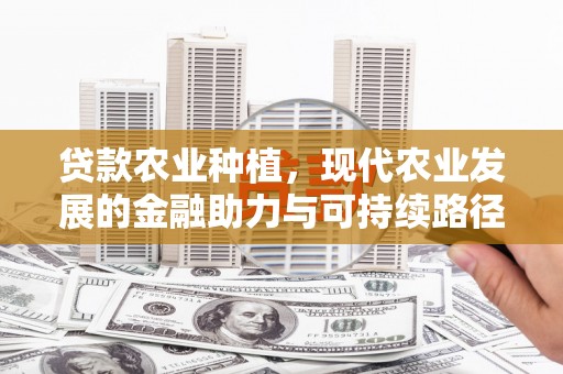 海原贷款农业种植，现代农业发展的金融助力与可持续路径
