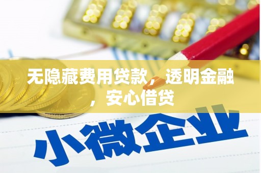 海原无隐藏费用贷款，透明金融，安心借贷