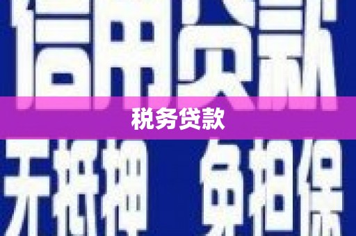 海原税务贷款