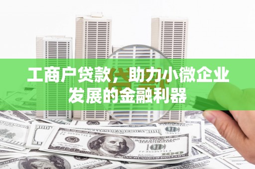 海原工商户贷款，助力小微企业发展的金融利器