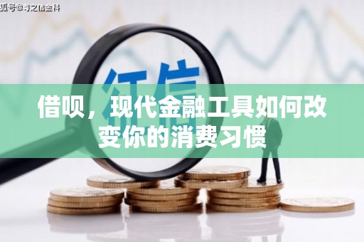 海原借呗，现代金融工具如何改变你的消费习惯