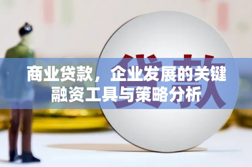 海原商业贷款，企业发展的关键融资工具与策略分析