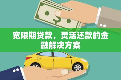 海原宽限期贷款，灵活还款的金融解决方案