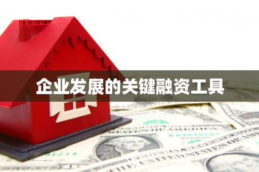 海原企业发展的关键融资工具
