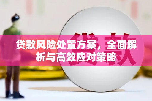 海原贷款风险处置方案，全面解析与高效应对策略